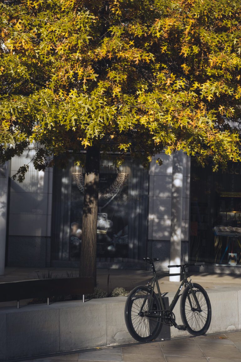 Duke of York Square, Kings Road